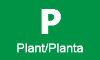 P Plant/Planta